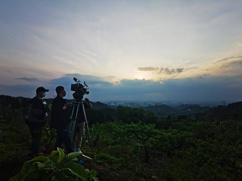 聚焦雁江区产品宣传视频拍摄公司，用专业实力铸就品牌传播传奇