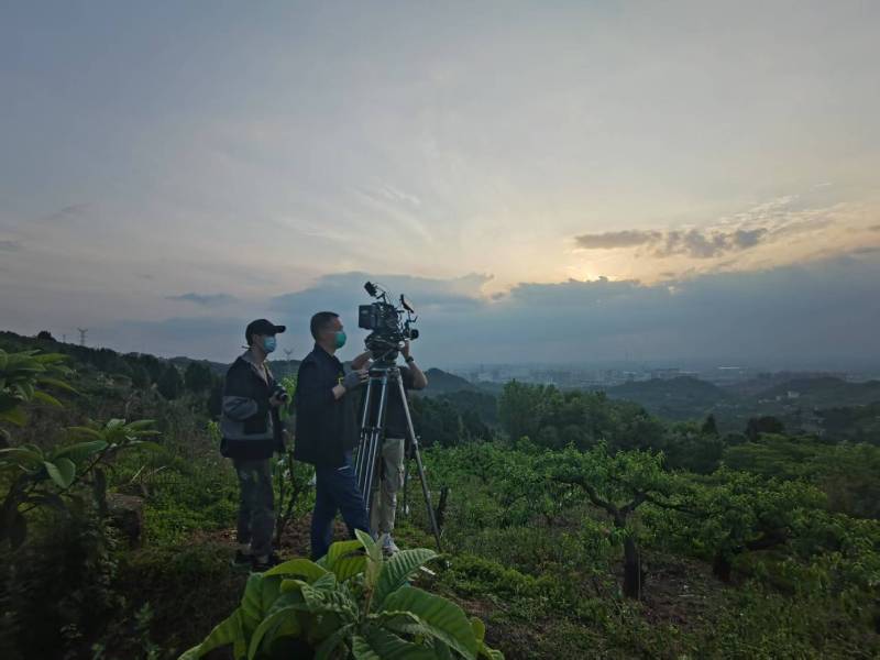 创意破圈！雁江区电商产品宣传视频用故事化叙事引爆流量