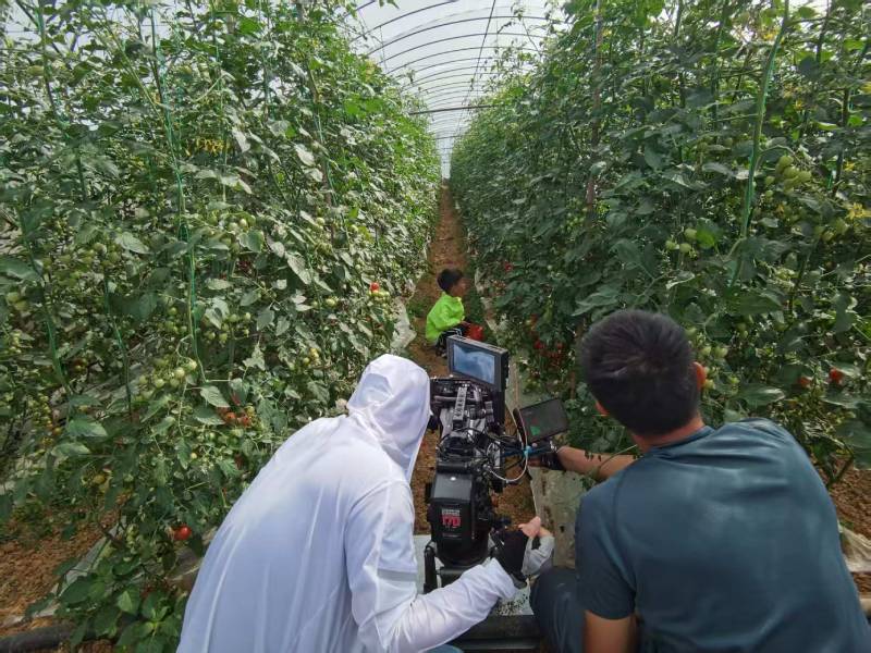 雁江区产品宣传视频拍摄公司进阶指南，助力品牌抢占传播高地